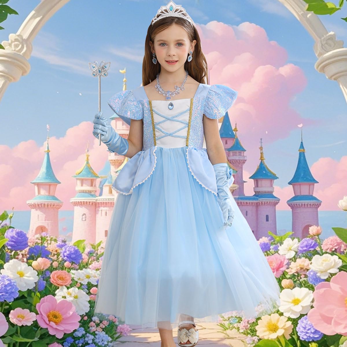 iTVTi Princess Cinderella costume blue dress back view showing full swirly skirt for movement