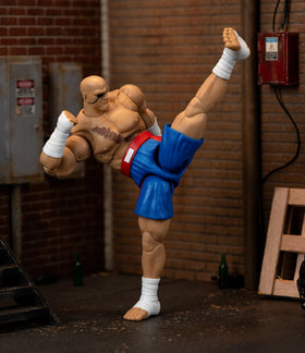 Jada Sagat interchangeable heads provide varied expressions for display