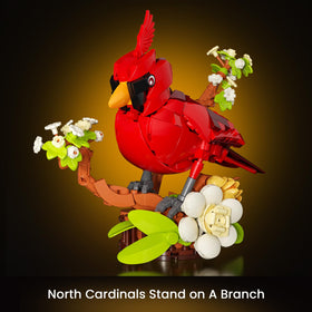JAKI Northern Cardinal model in bright colors for eye-catching decor