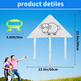 JaneNing 60 cm square kite size ideal for group family fun.