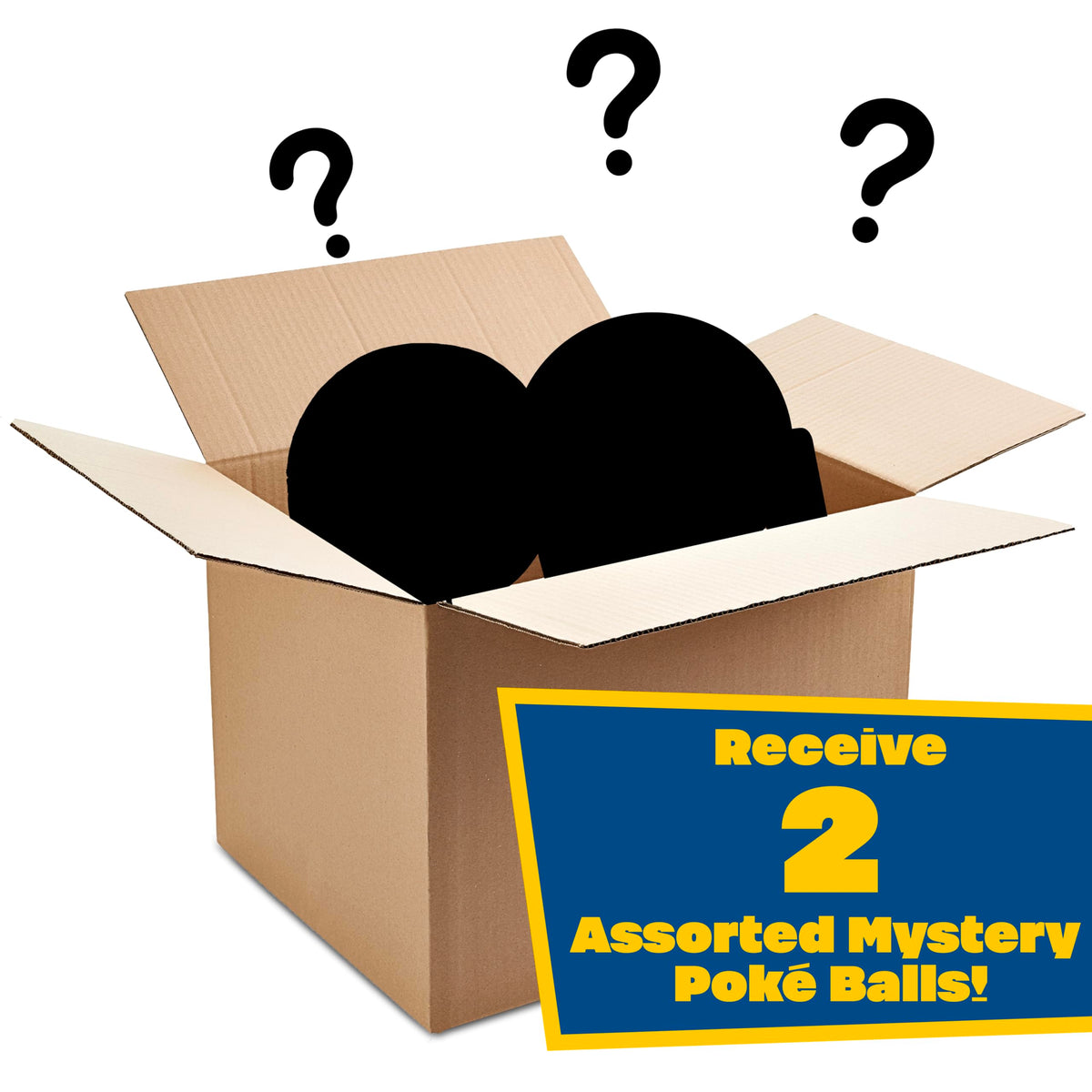 Assorted ball styles and weighted bottom support upright landings during tosses.