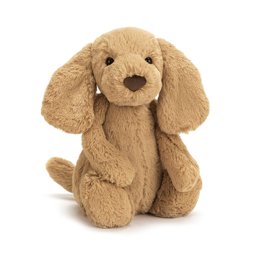 Jellycat Bashful Toffee Puppy front view, a cozy cuddle buddy for playtime and naps.