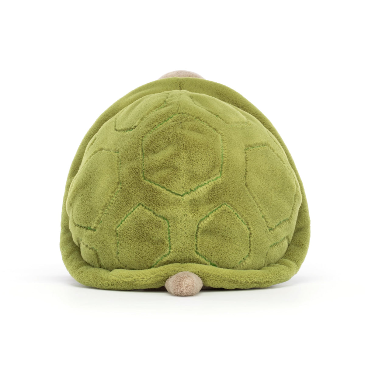 Soft beige fur and moss-green shell invite gentle hugs and play.