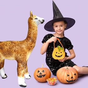 Jet Creations inflatable alpaca, living room setup showcasing versatile decor