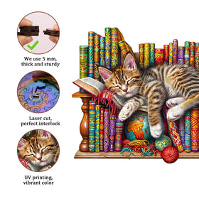 Jigfoxy DragonLi Cat Puzzle wall display option as art centerpiece.
