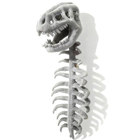 JingDan Great gift idea for dinosaur lovers on birthdays and holidays.