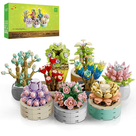 JMBricklayer Flowers Succulents Bonsai collection display for vibrant home decor and Valentine gifting.