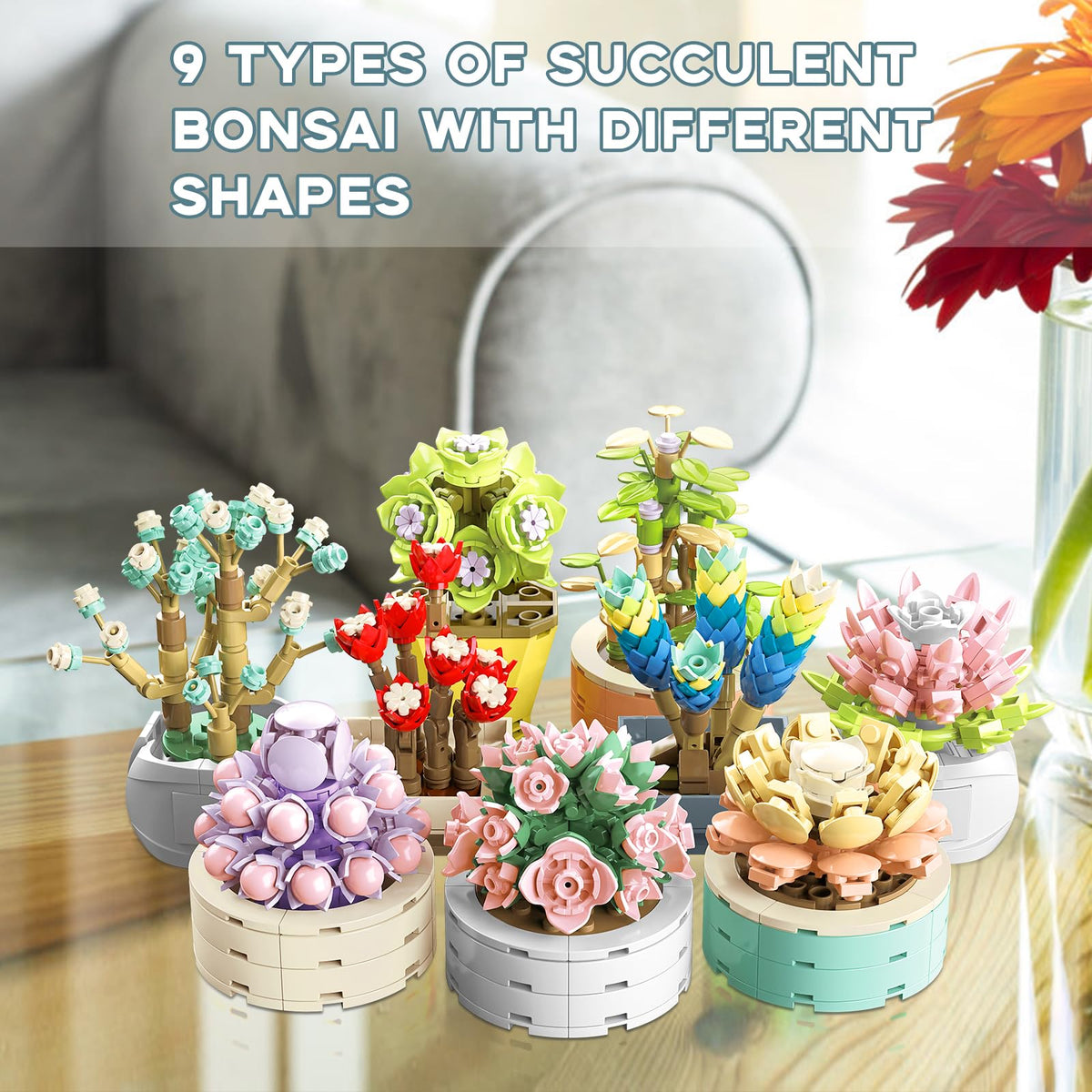 JMBricklayer Valentine succulents setup with nine colorful plants for bright home decor.