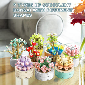 JMBricklayer Valentine succulents setup with nine colorful plants for bright home decor.