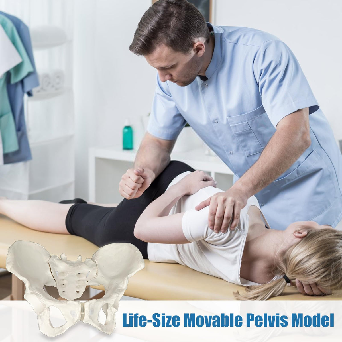 JNMFTD durable educational tool supports anatomy classes and patient consultations.