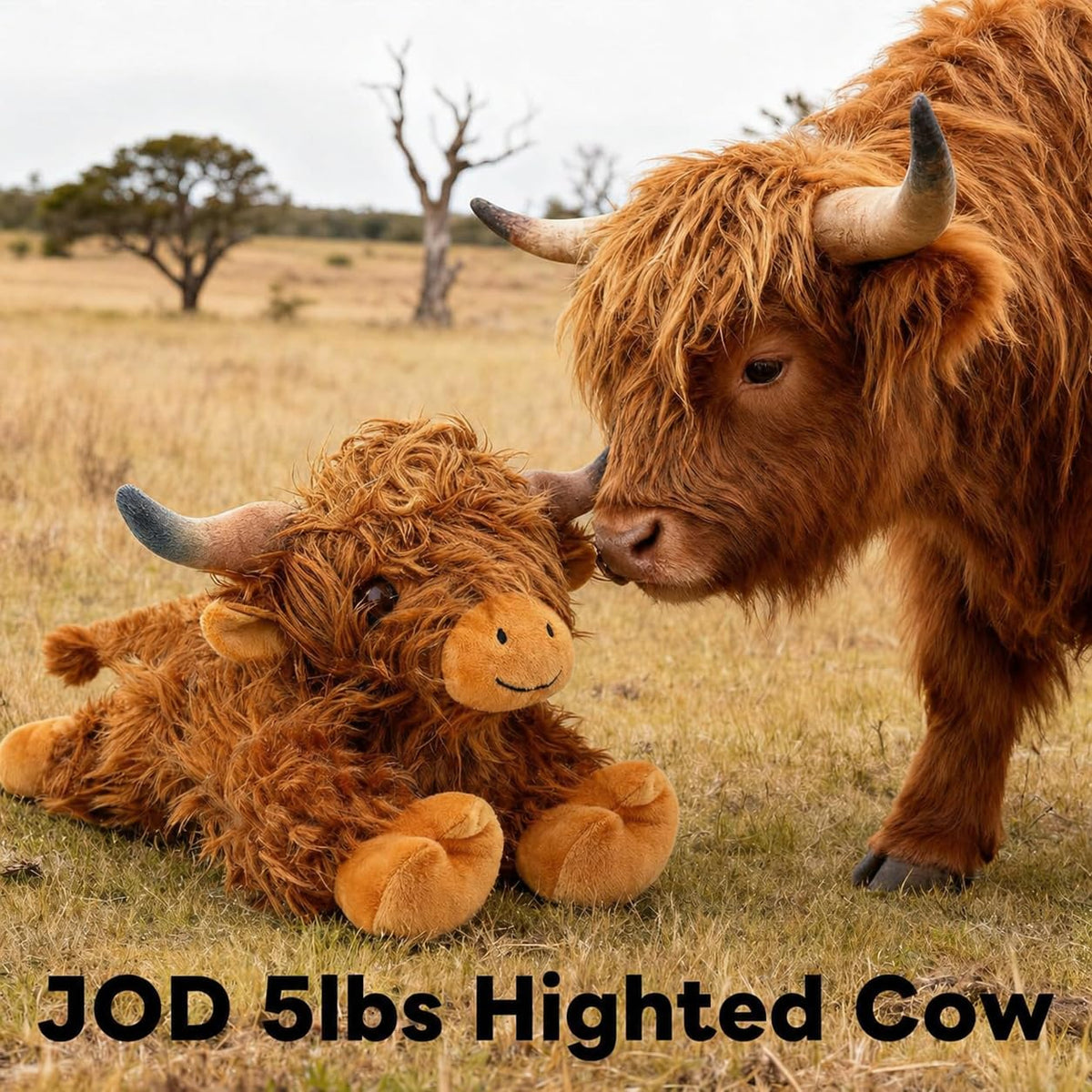JOD Highland Cow plush 22in face close-up reveals friendly expression