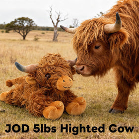 JOD Highland Cow plush 22in face close-up reveals friendly expression