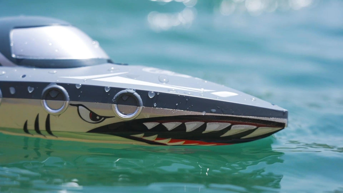 JOI MEW Shark RC Boat realistic grey-blue shell stands out under sun