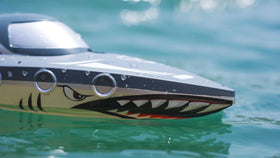 JOI MEW Shark RC Boat realistic grey-blue shell stands out under sun