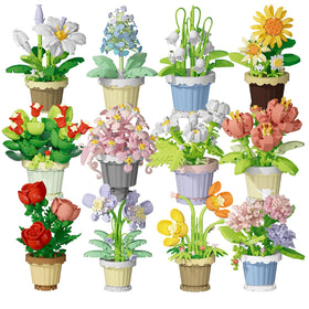 Jollcnoia bonsai flower blocks on a desk create a calming botanical display.
