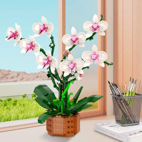Joniuuca gift-ready orchid block set ideal for special occasions