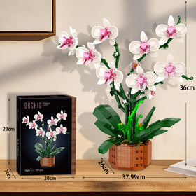 Joniuuca orchid assembly manual highlighting a calming DIY project for all ages