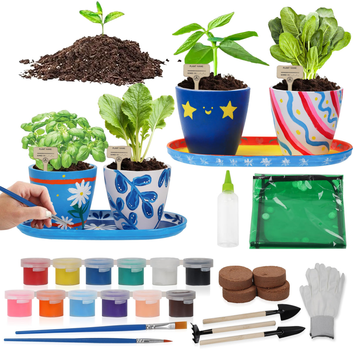 Jouetondream paint and plant kit with 4 pots for creative veggie gardening at home