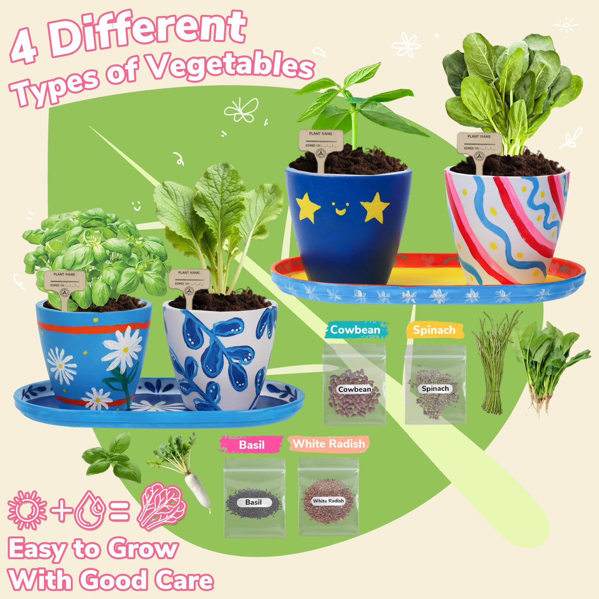 Jouetondream seed varieties cowbean spinach basil radish inspire hands-on science and growth