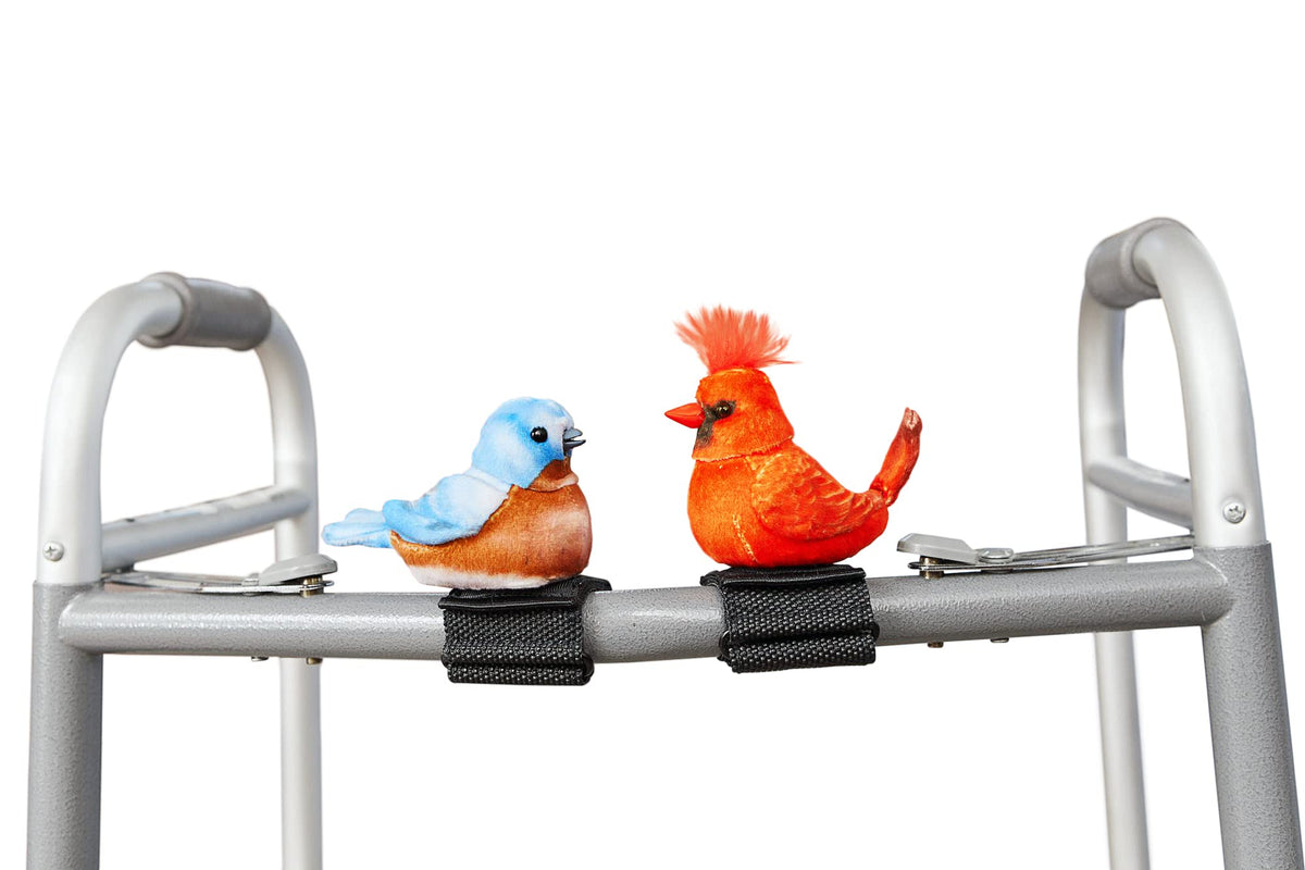 Bluebird perched on a walker demonstrates companionship during daily walks.