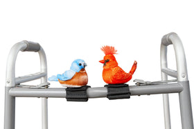Bluebird perched on a walker demonstrates companionship during daily walks.