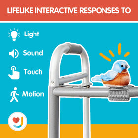 JOY FOR ALL Cardinal sensors respond to motion to encourage movement.