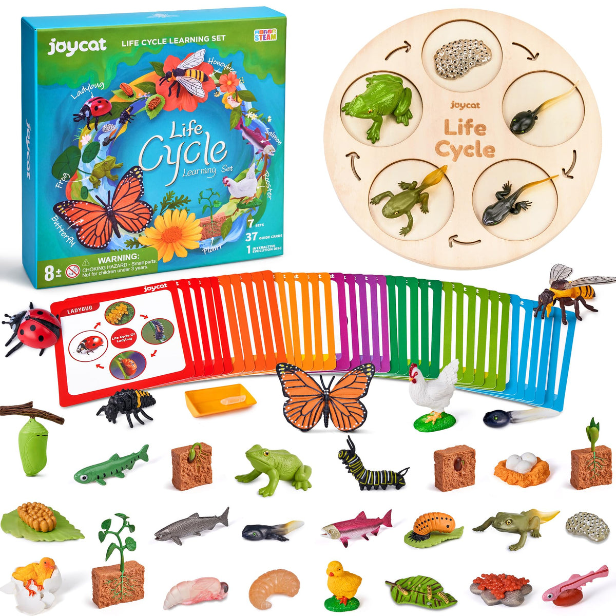 JoyCat butterfly figure for engaging life cycle activities and visual learning.