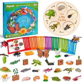 JoyCat butterfly figure for engaging life cycle activities and visual learning.