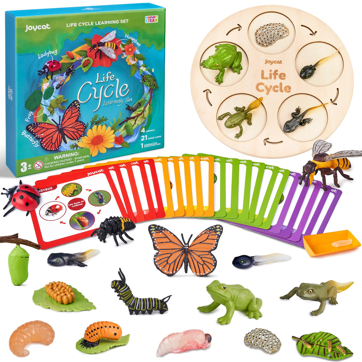 JoyCat butterfly figures for early science exploration and life cycle learning.