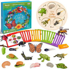 JoyCat butterfly figures for early science exploration and life cycle learning.