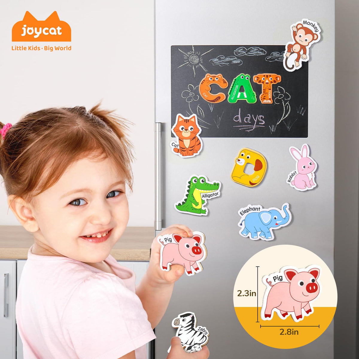 JoyCat basswood-interlayer magnets provide sturdy grip for little hands.