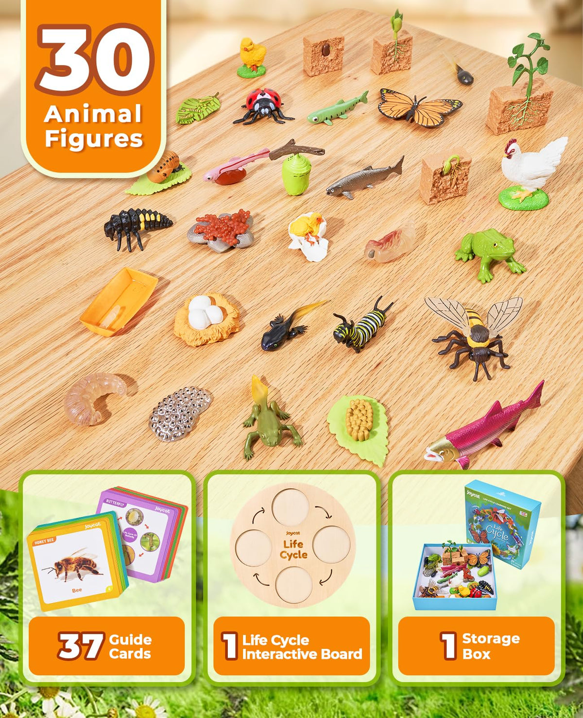 JoyCat frog figure supports hands-on science play and curiosity.