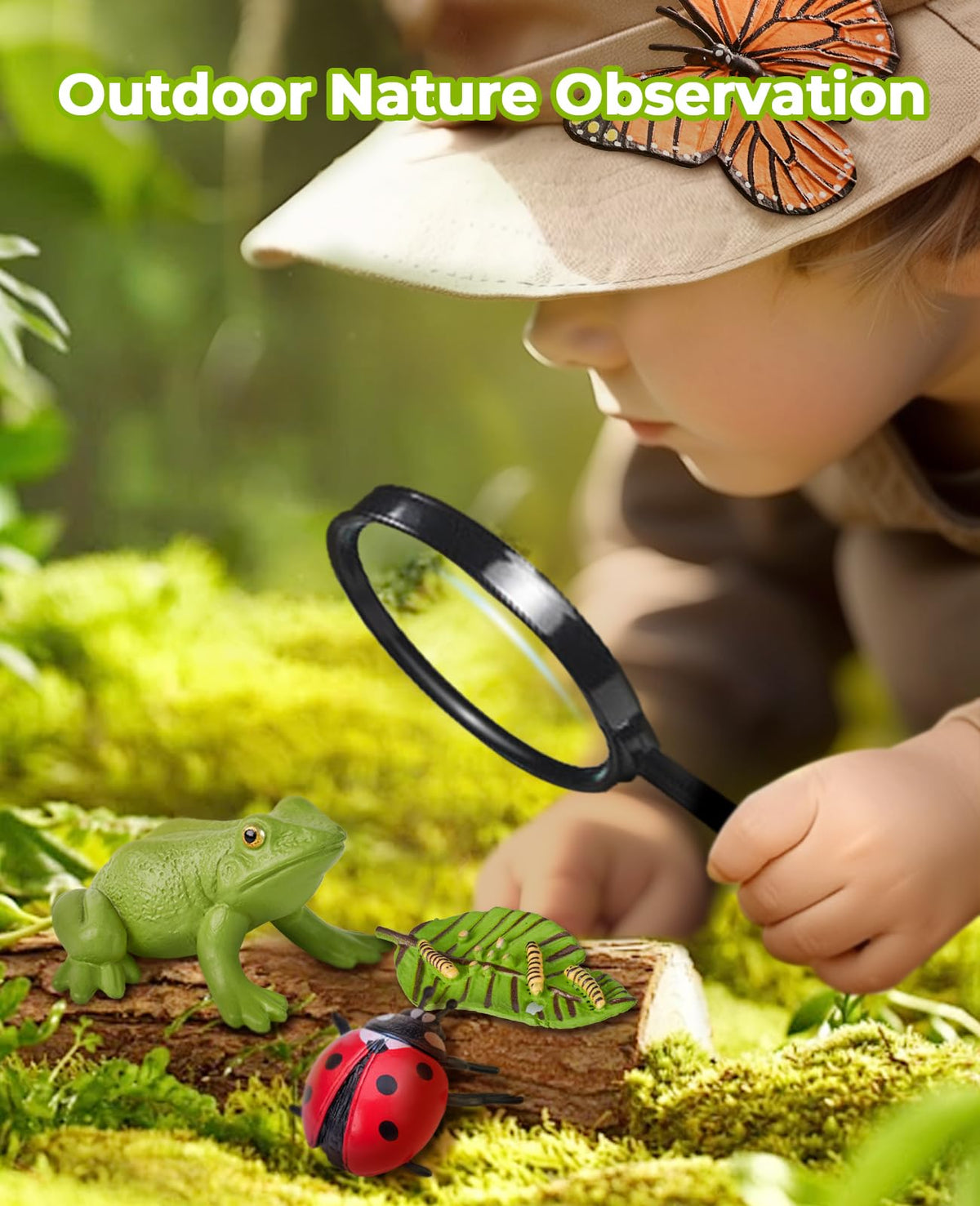 JoyCat insect introduction cards help kids connect visuals to concepts.