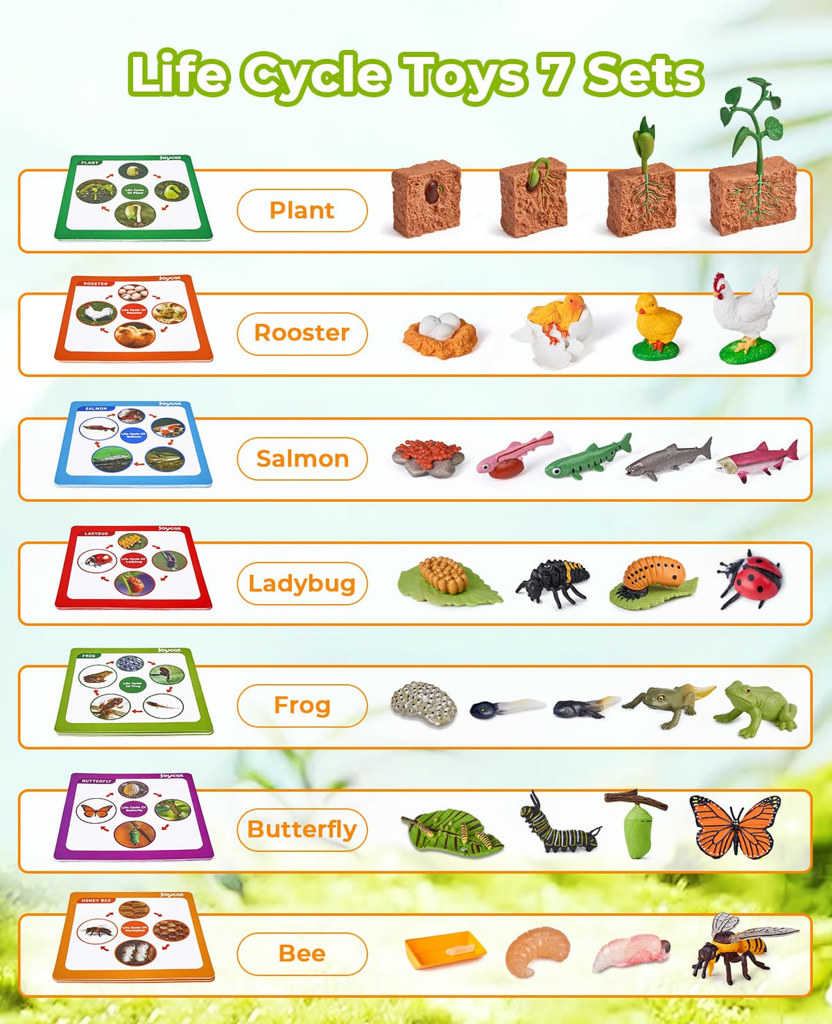 JoyCat ladybug figure enhances observation skills during nature play.