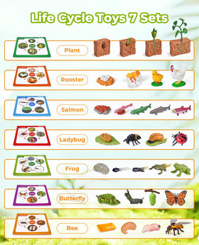 JoyCat ladybug figure enhances observation skills during nature play.