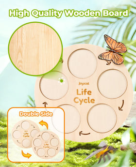 JoyCat ladybug figures add colorful, tactile play to science time.