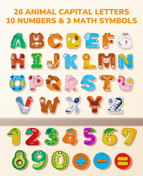 JoyCat large letters magnets designed as 2.36x2.5 inches for easy handling.