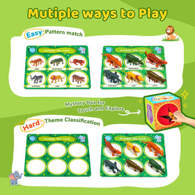 JoyCat sorting toys objects variety for early cognitive and language play