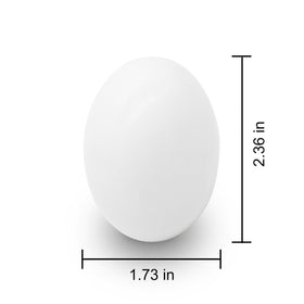 JOYIN classroom activity using plain white wooden eggs for crafts.