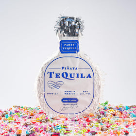 JOYIN tequila bottle pinata used as a photo prop for events.