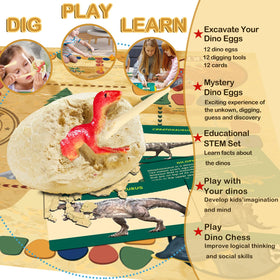 Joyvalley Dino Eggs kit includes chisels and brushes for precise fossil digging.