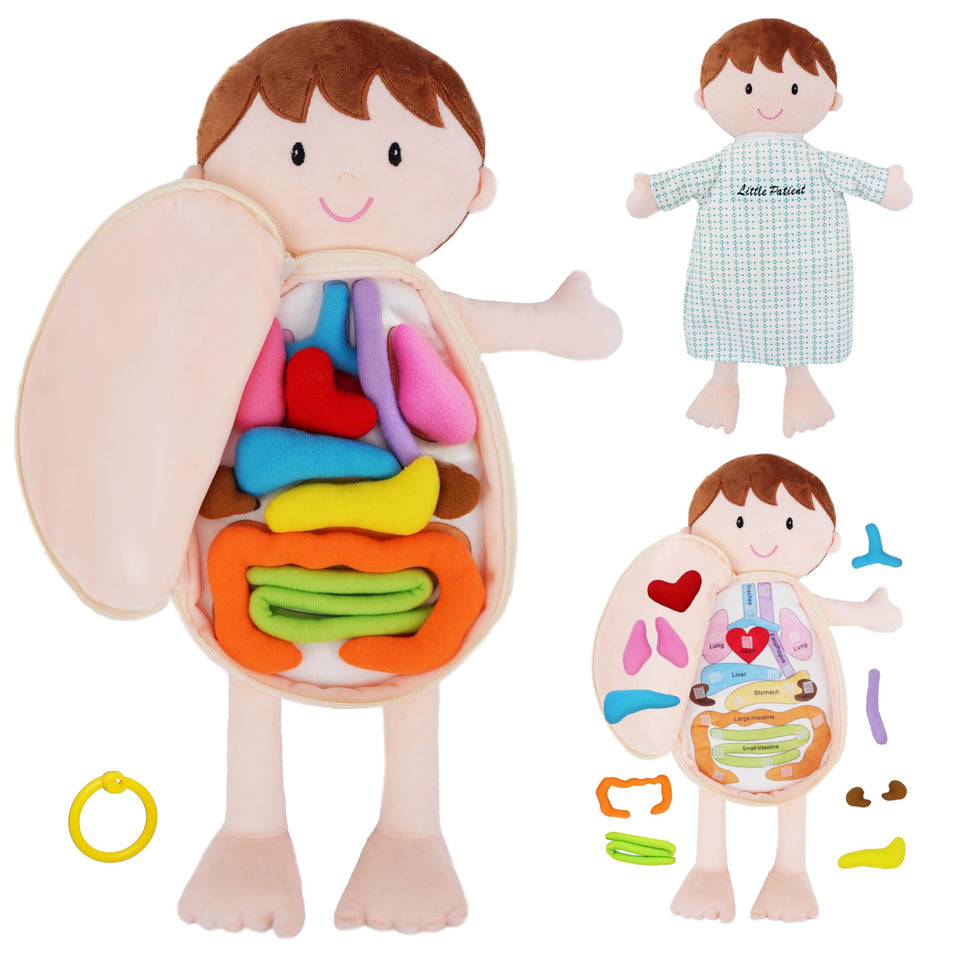 June Garden Little Patient Lucas doll in packaging, inviting early science exploration.