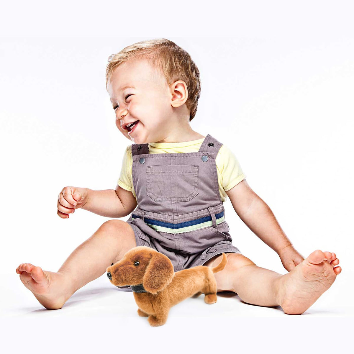 JUSTQUNSEEN dachshund plush soft interior closeup, inviting cuddle and comfort.