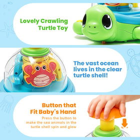 Jyusmile turtle safe ABS materials ensure gentle play