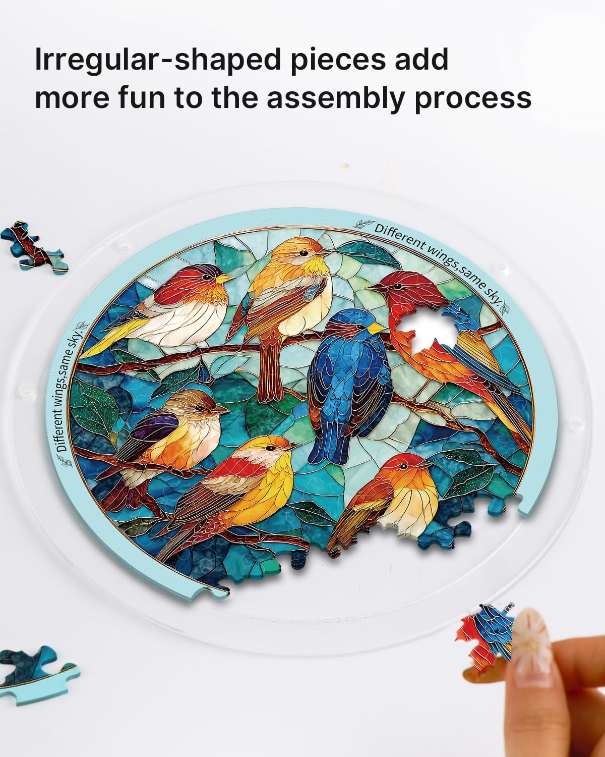 KAAYEE bird-themed suncatcher doubles-sided color under sunlight for vivid display.