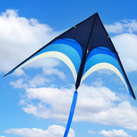 Kaiciuss 210T fabric kite with resin poles withstands strong winds