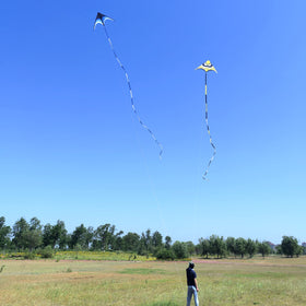 Kaiciuss beach flying scene showing the large kite in the blue sky