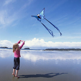 Kaiciuss butterfly kite 300ft line, long reach for high flights.