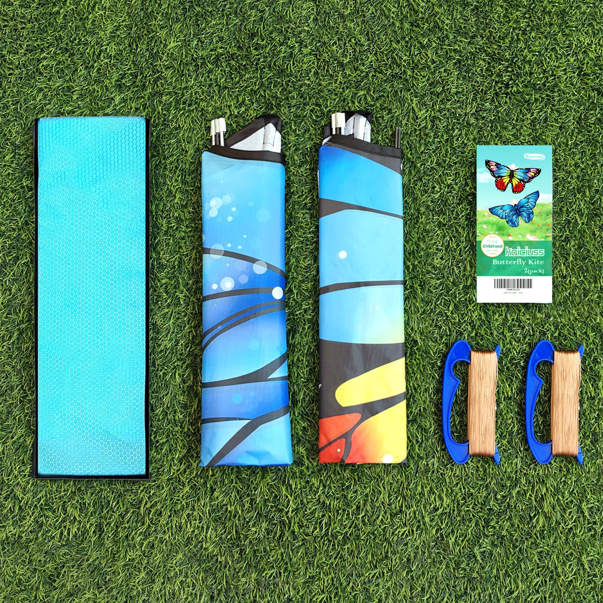 Kaiciuss blue butterfly kite, ideal for breezy beach days.