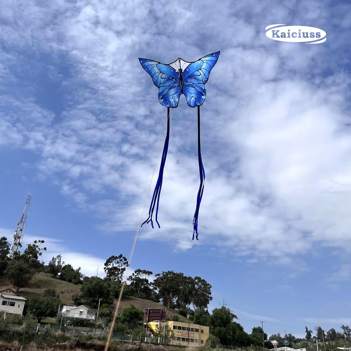 Kaiciuss butterfly wings fluttering gracefully in a bright breeze